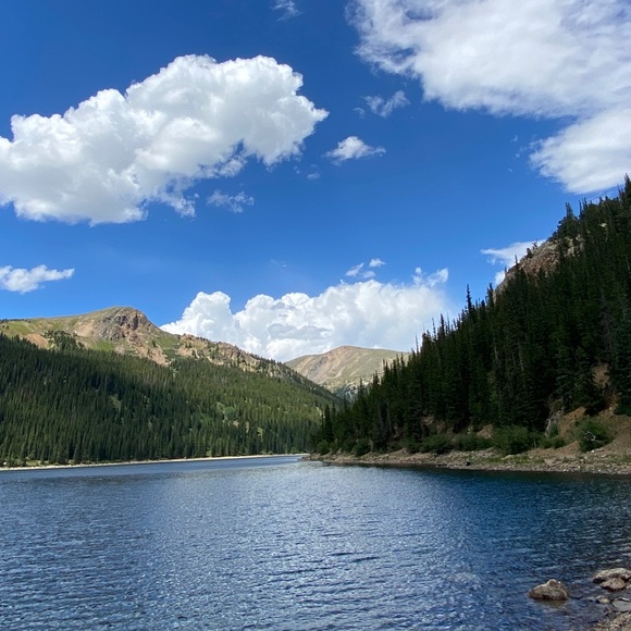 Meet your Posher, Lucy - Picture 1 of 1